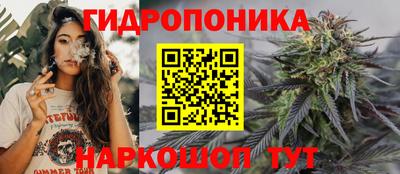 прущие крисы Тверь