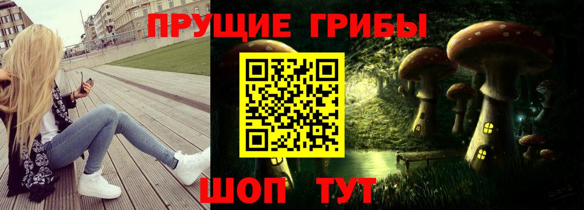 Псилоцибиновые грибы мицелий Нерюнгри